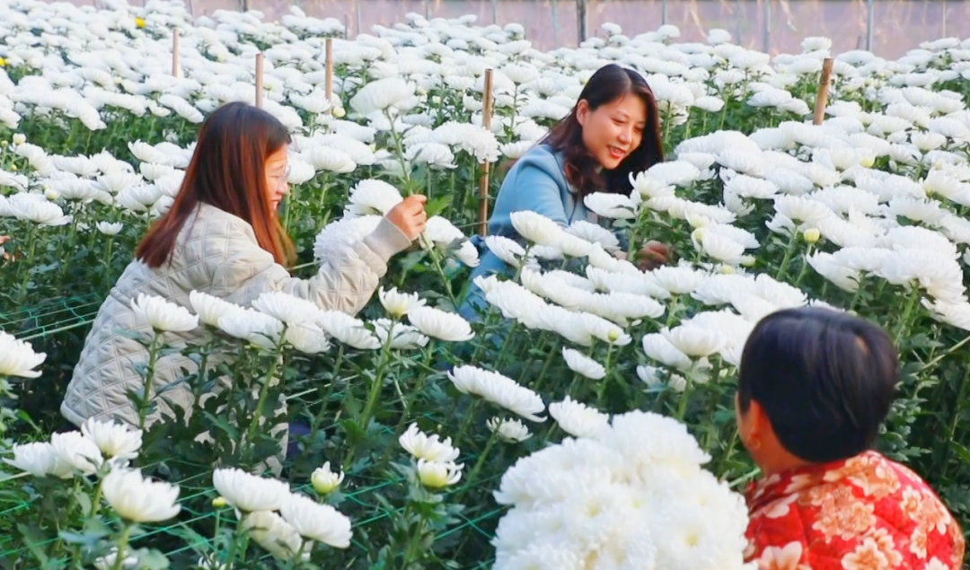 �F�ǅ^(q��)���ջ������M�ء���