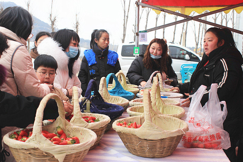 ��ݮ�h��c�´� | ���f�(zh��n)��ɽ�ڲ�ݮ��ժ��Ȥ���������w�(y��n)�e����ζ