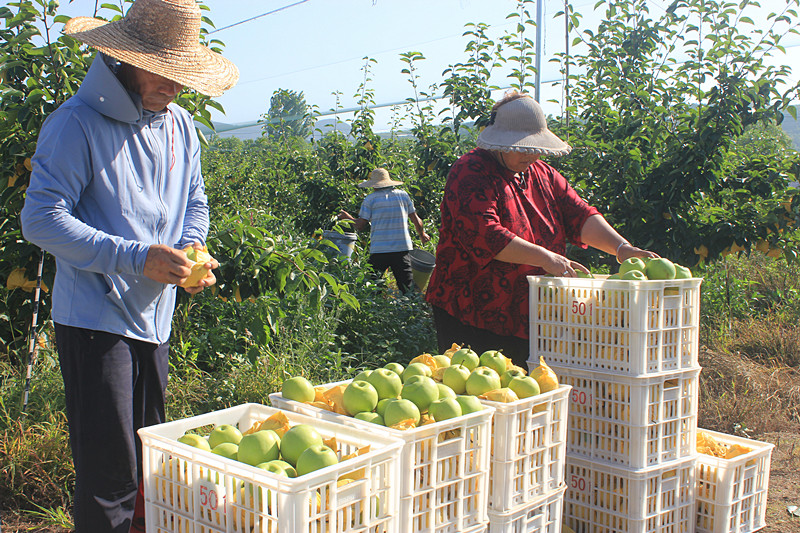 ��óԣ����Ѕ^(q��)ǰ�����@��(g��)���@������������